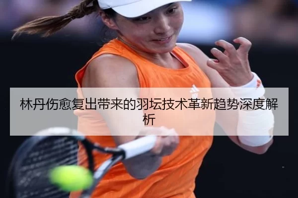 林丹伤愈复出带来的羽坛技术革新趋势深度解析
