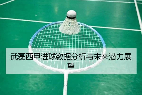 武磊西甲进球数据分析与未来潜力展望